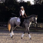 Horse trainer