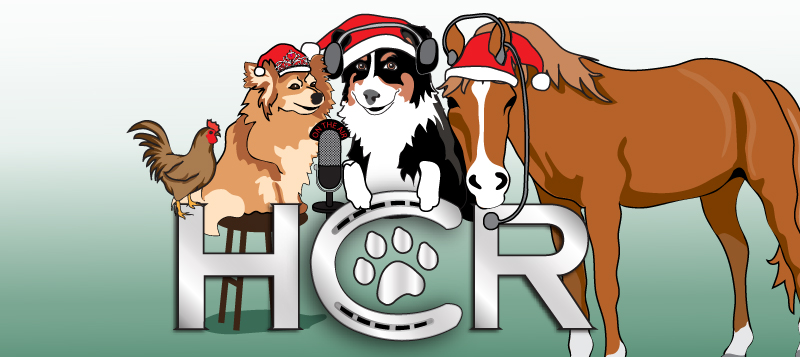 Healthy Critters #172: Holiday Fun with Equestrians & Hedwig the Pomeranian
