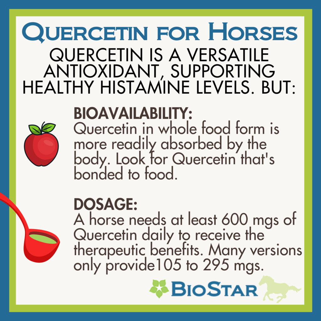 Quercetin Bioavailability, Pivo Review, & Riding Breeches | Healthy Critters Radio