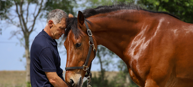 Healthy Critters #147: Equine Mind Reading, Horse & Dog Neurological Support, Animals in Native American Astrology